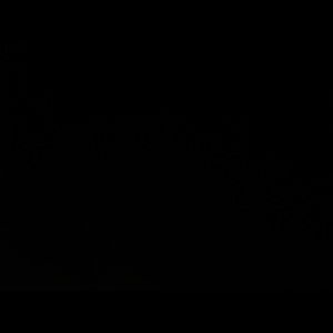 Meet your Posher, Bella